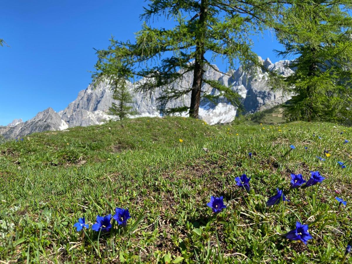 Haus Sonnleitner Ramsau am Dachstein Exterior foto